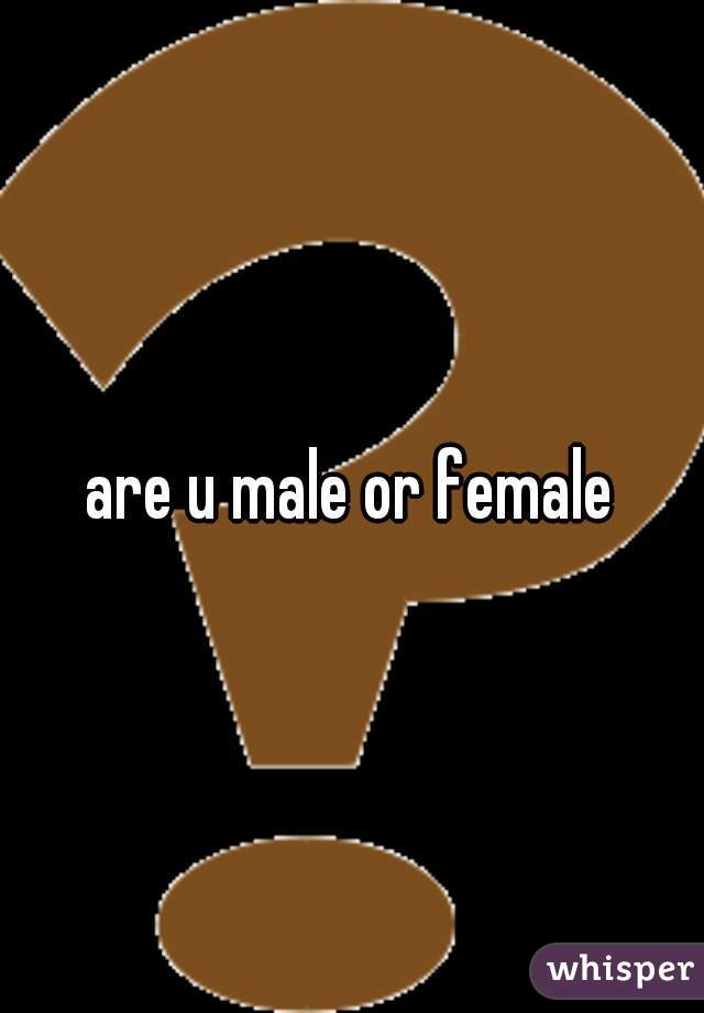 are u male or female