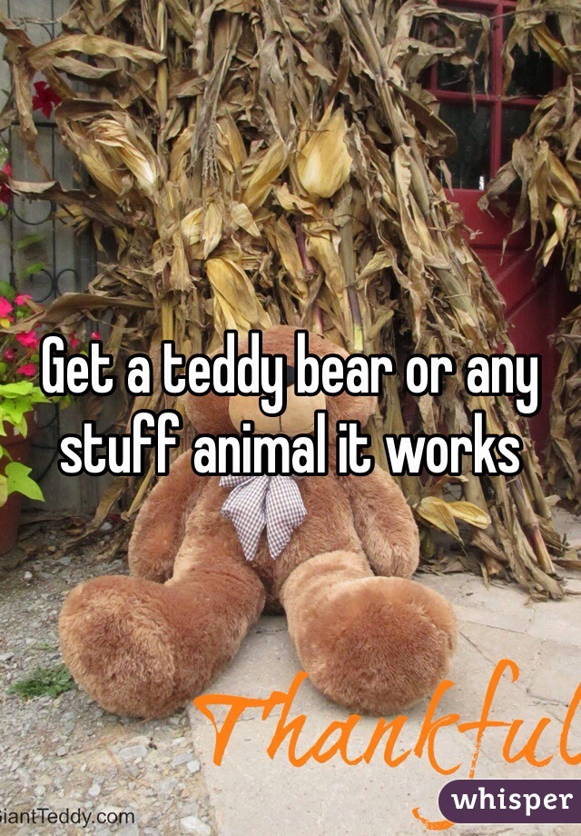 Get a teddy bear or any stuff animal it works