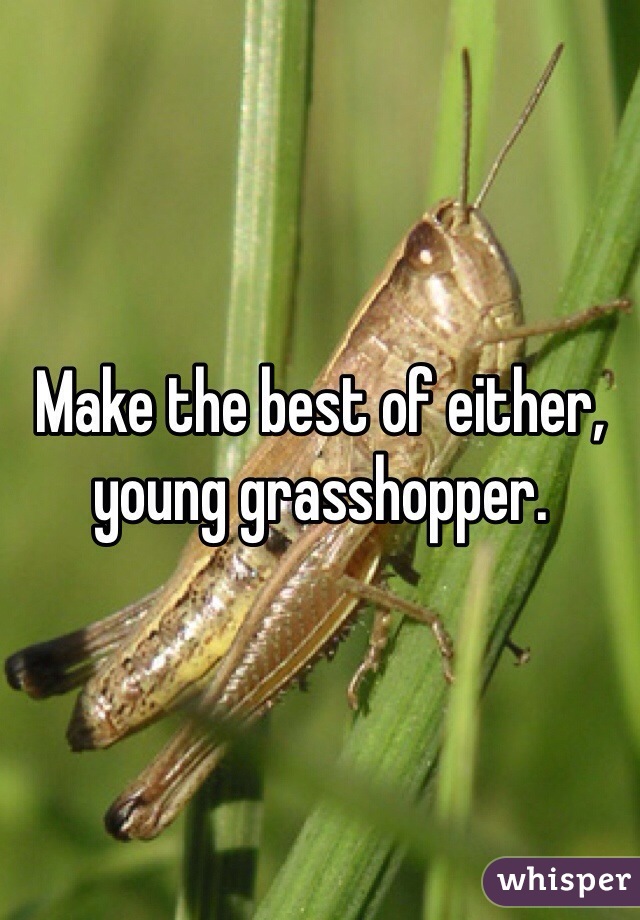 Make the best of either, young grasshopper. 
