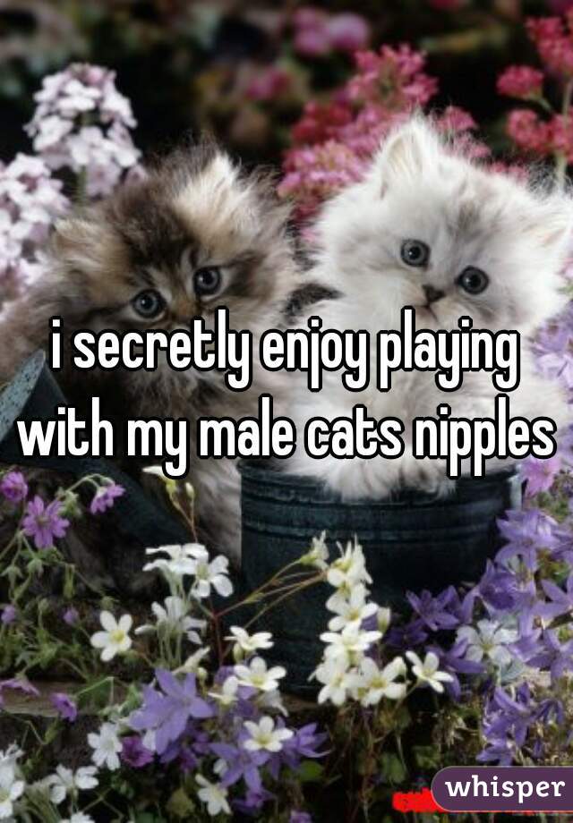 i secretly enjoy playing with my male cats nipples 