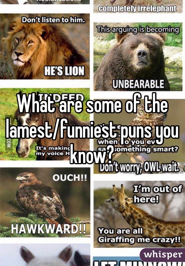 What are some of the lamest/funniest puns you know?
