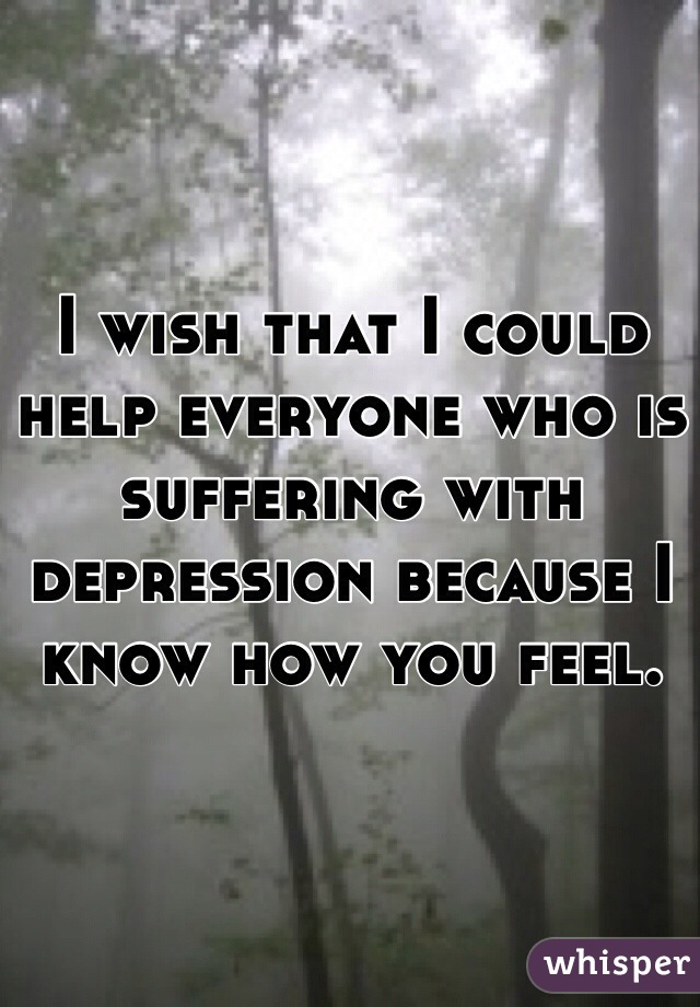I wish that I could help everyone who is suffering with depression because I know how you feel.  