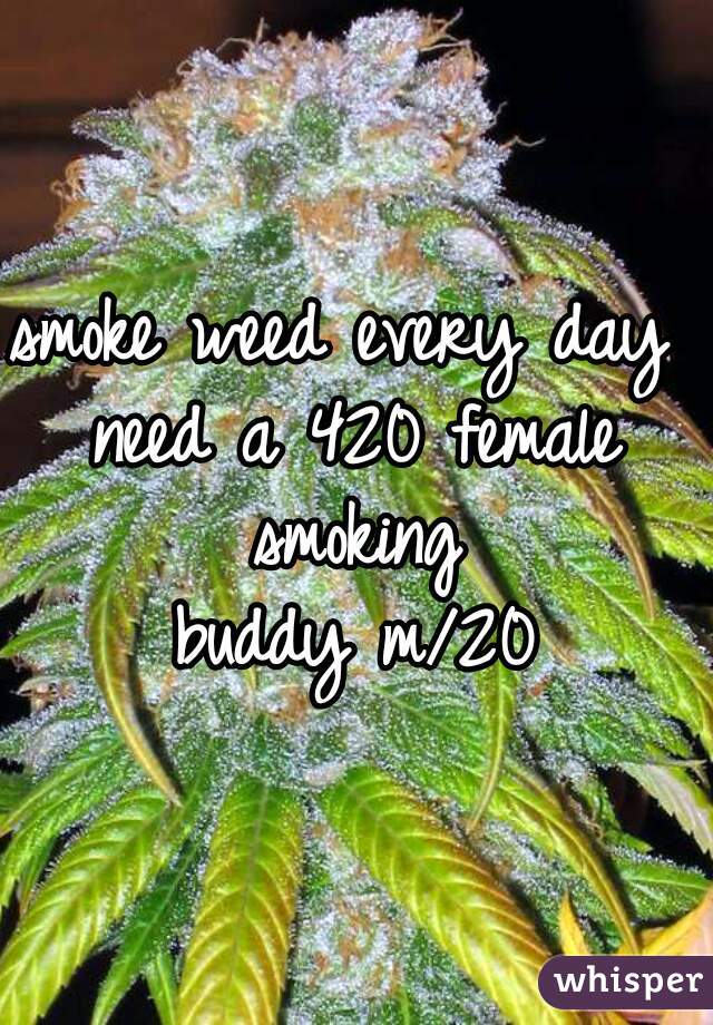 smoke weed every day 
need a 420 female smoking 
buddy m/20