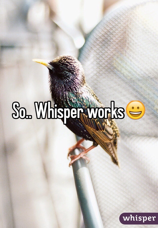 So.. Whisper works😀