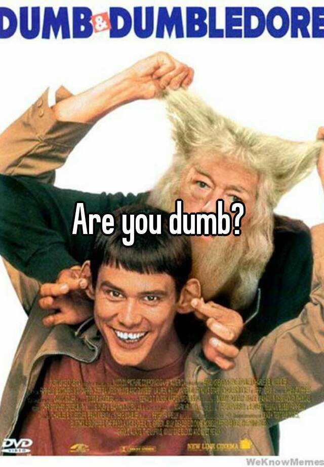 are-you-dumb