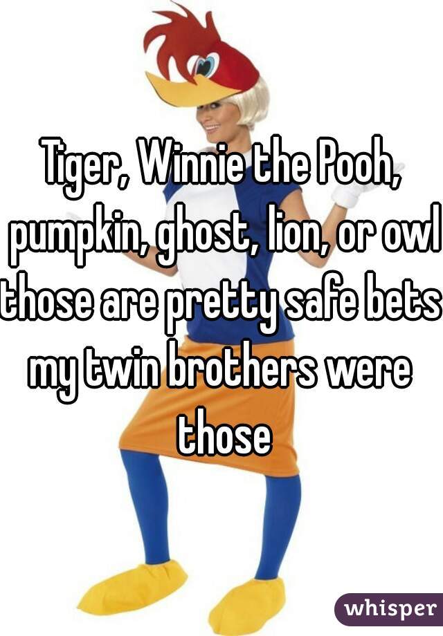 Tiger, Winnie the Pooh, pumpkin, ghost, lion, or owl
those are pretty safe bets
my twin brothers were those