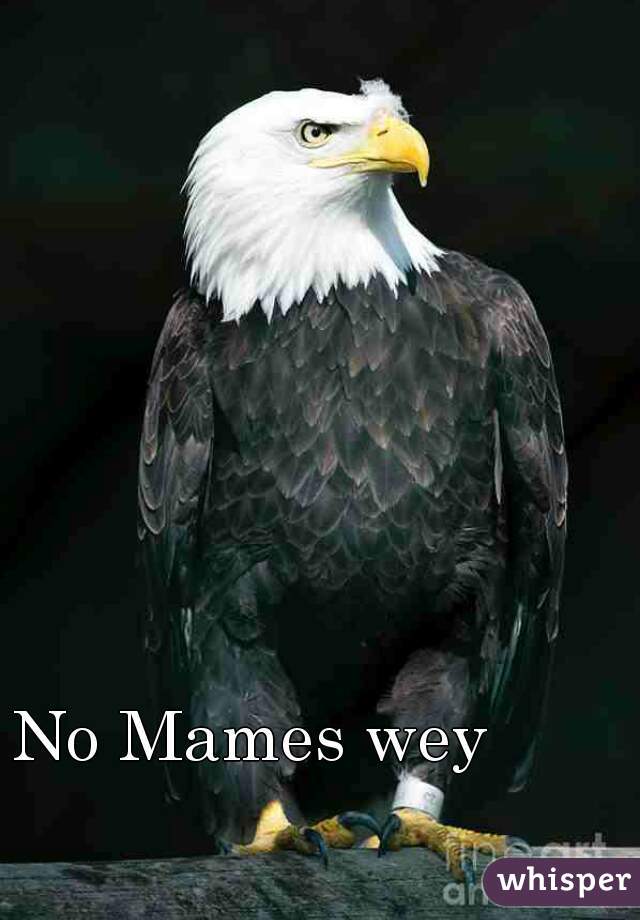 No Mames wey