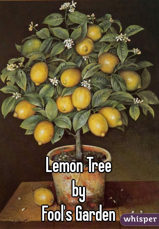 Lemon Tree 
by 
Fool's Garden 