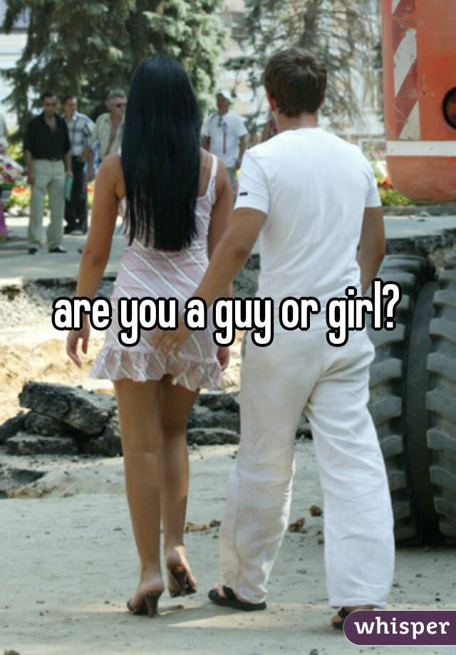 are you a guy or girl?