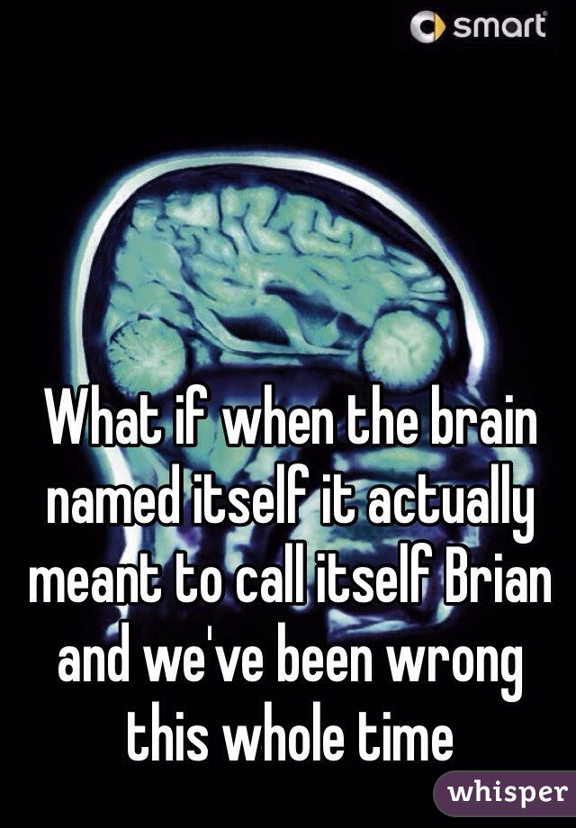 What if when the brain named itself it actually meant to call itself Brian and we've been wrong this whole time