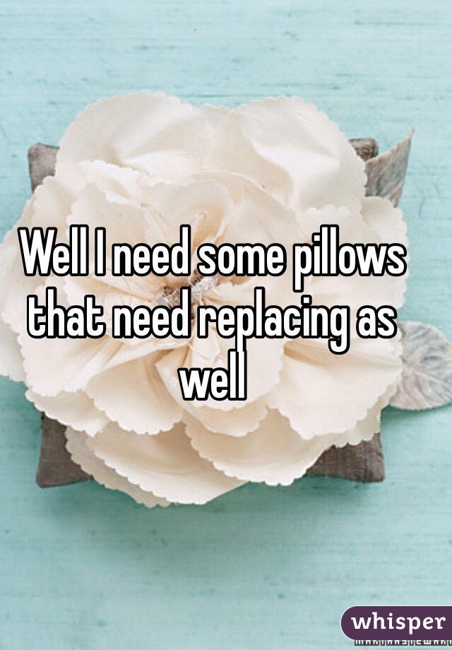 Well I need some pillows that need replacing as well 