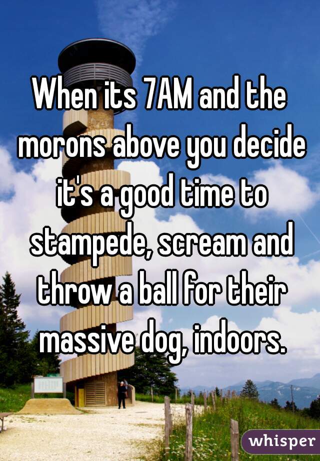 When its 7AM and the morons above you decide it's a good time to stampede, scream and throw a ball for their massive dog, indoors.