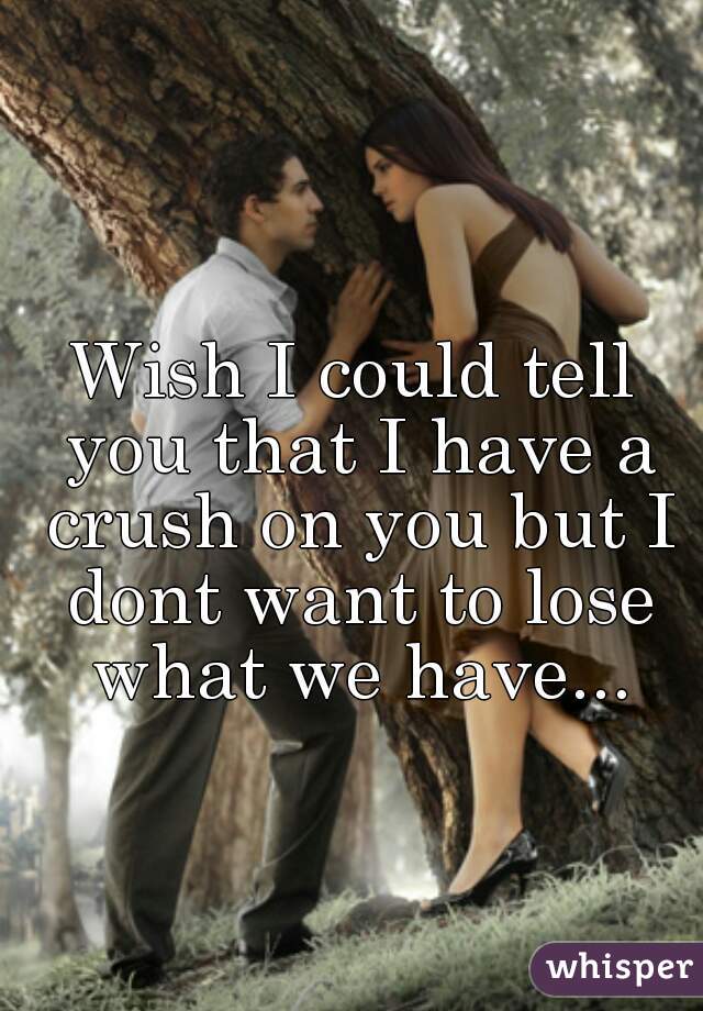 Wish I could tell you that I have a crush on you but I dont want to lose what we have...
