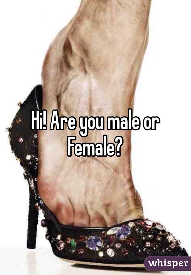 Hi! Are you male or
Female?