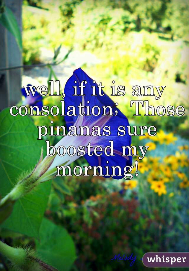 well, if it is any consolation;  Those pinanas sure boosted my morning!
 