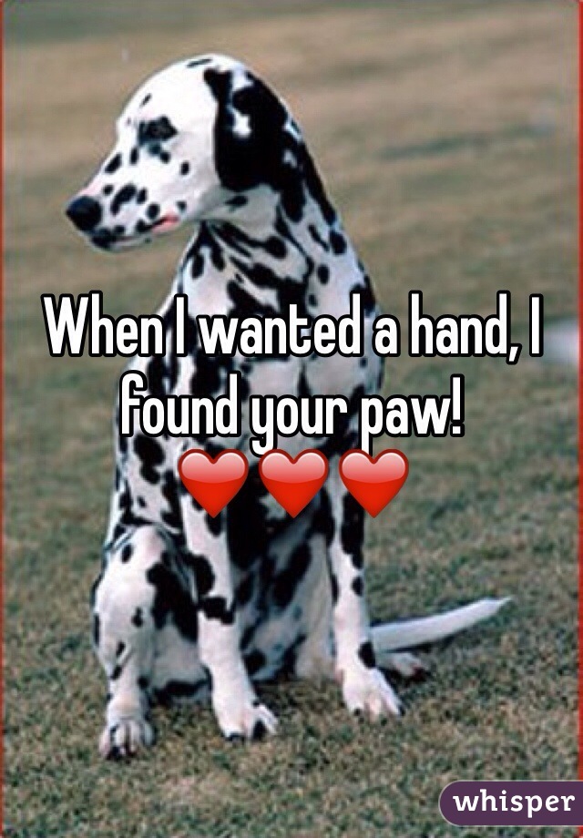 When I wanted a hand, I found your paw! ❤️❤️❤️