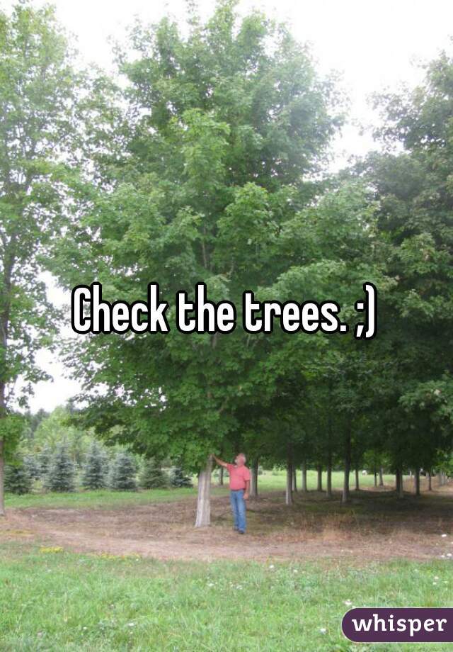 Check the trees. ;)