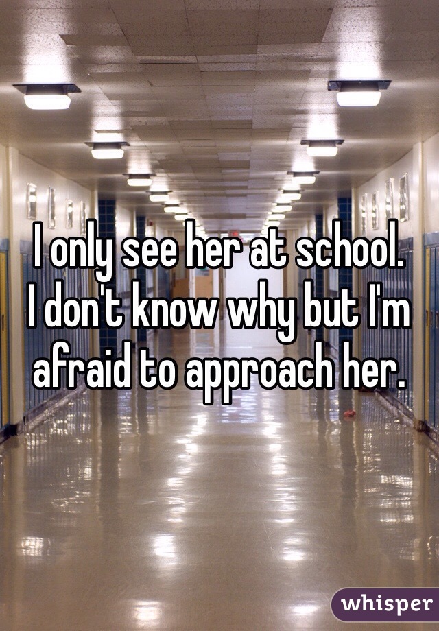 I only see her at school. 
I don't know why but I'm afraid to approach her. 