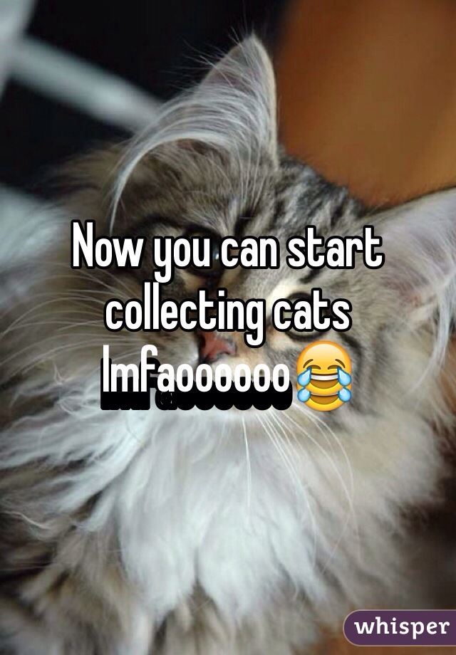 Now you can start collecting cats lmfaoooooo😂