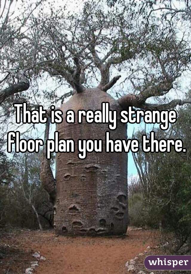That is a really strange floor plan you have there.