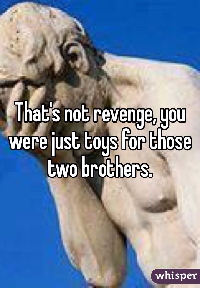 That's not revenge, you were just toys for those two brothers.