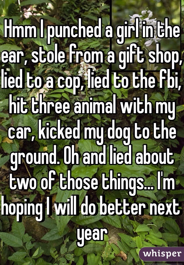 Hmm I punched a girl in the ear, stole from a gift shop, lied to a cop, lied to the fbi, hit three animal with my car, kicked my dog to the ground. Oh and lied about two of those things... I'm hoping I will do better next year