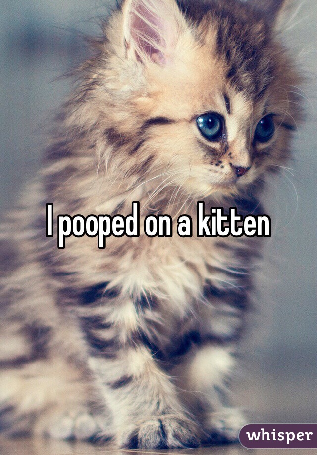 I pooped on a kitten