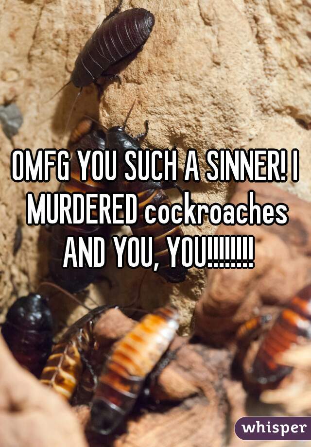 OMFG YOU SUCH A SINNER! I MURDERED cockroaches AND YOU, YOU!!!!!!!!