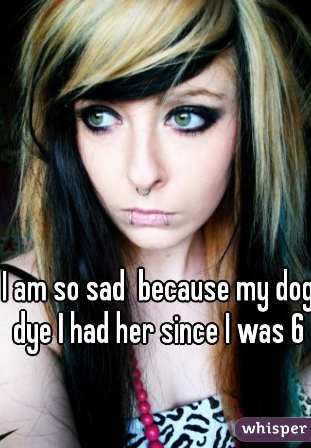 I am so sad  because my dog dye I had her since I was 6 