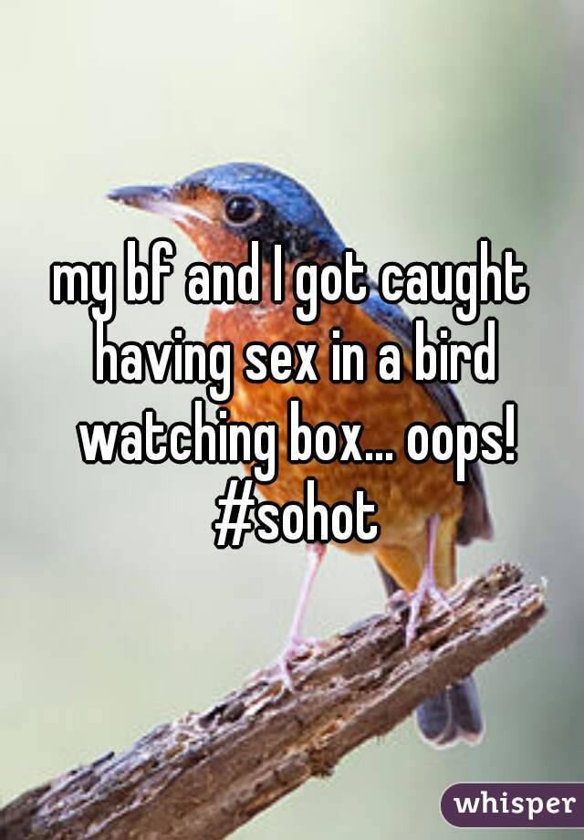 my bf and I got caught having sex in a bird watching box... oops! #sohot
