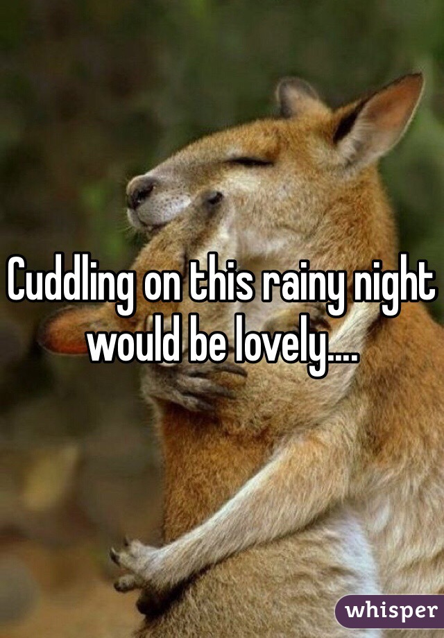 Cuddling on this rainy night would be lovely....