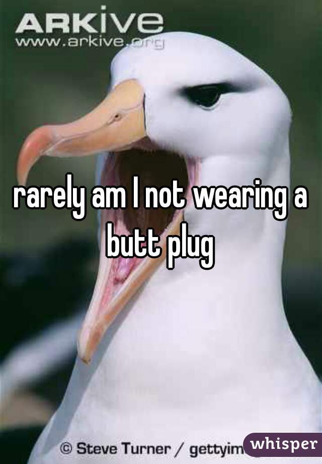 rarely am I not wearing a butt plug 