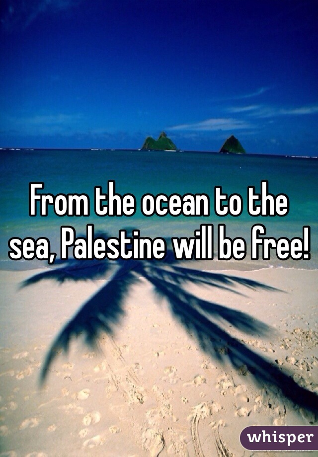 From the ocean to the sea, Palestine will be free!