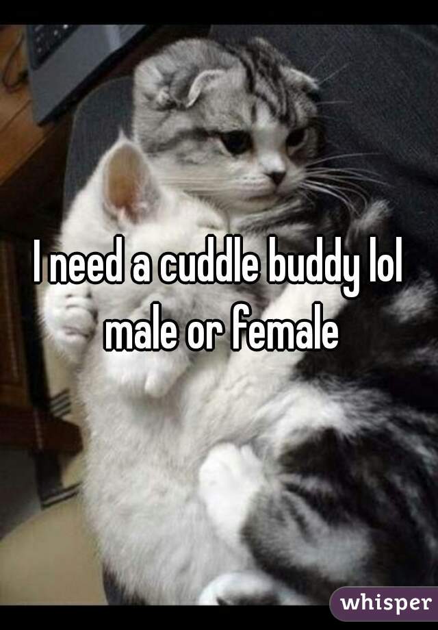 I need a cuddle buddy lol male or female