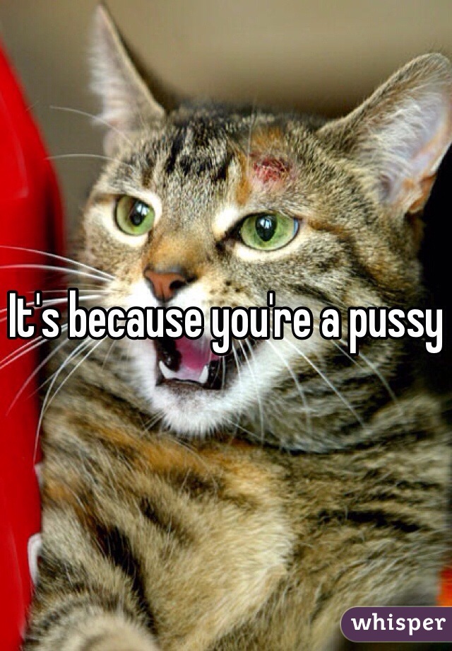 It's because you're a pussy