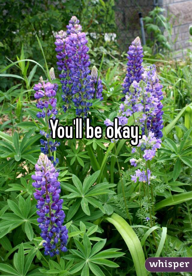 You'll be okay.