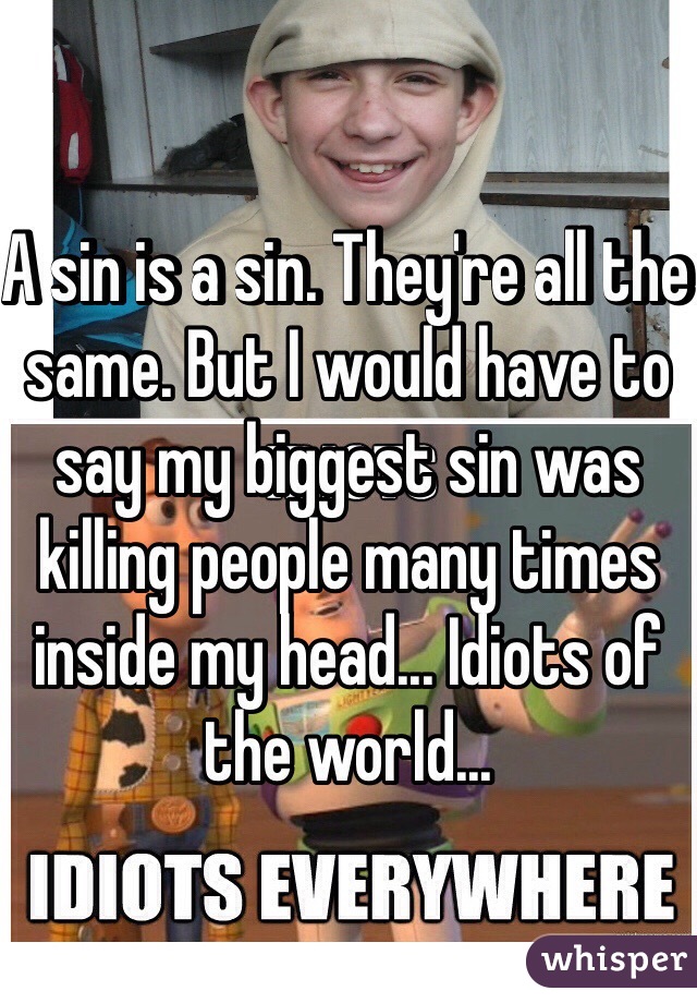 A sin is a sin. They're all the same. But I would have to say my biggest sin was killing people many times inside my head... Idiots of the world...