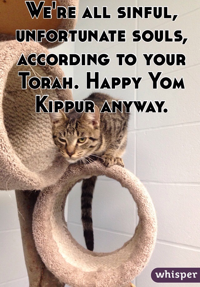 We're all sinful, unfortunate souls, according to your Torah. Happy Yom Kippur anyway.