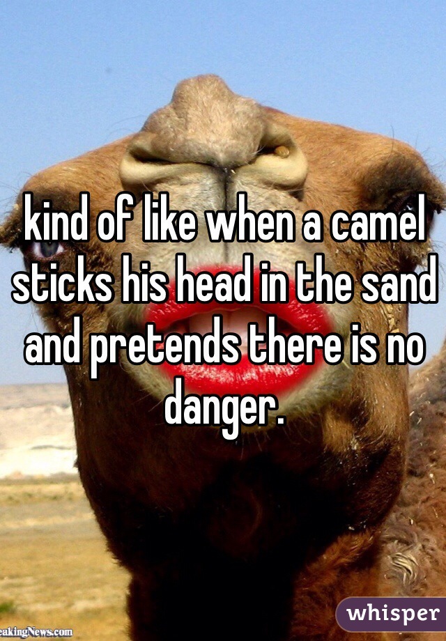 kind of like when a camel sticks his head in the sand and pretends there is no danger.  