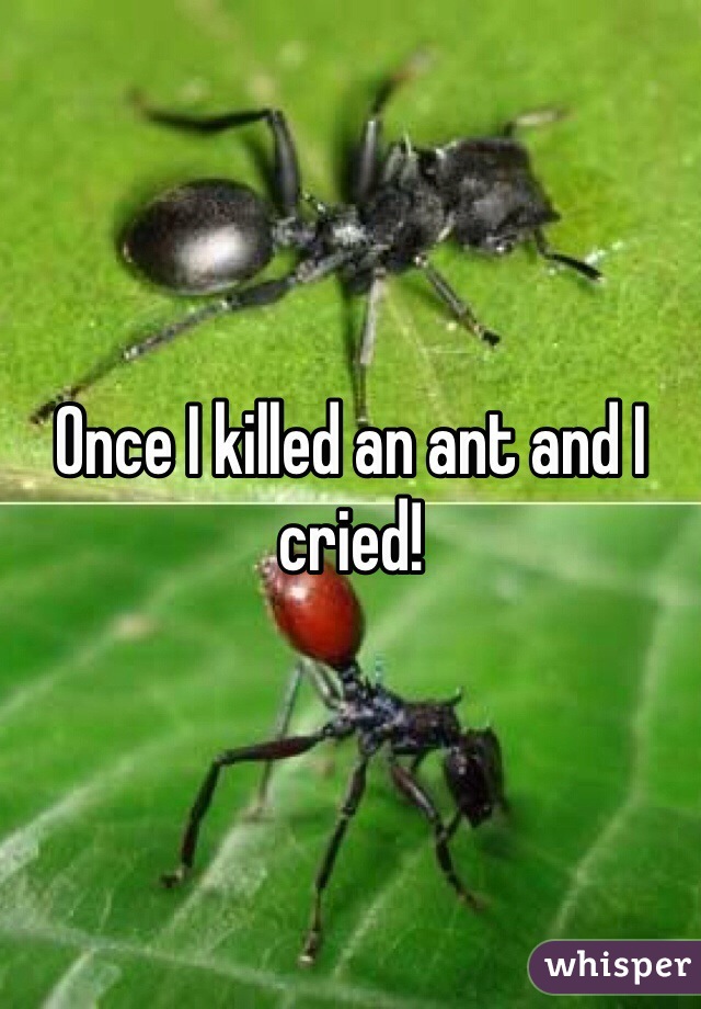 Once I killed an ant and I cried!