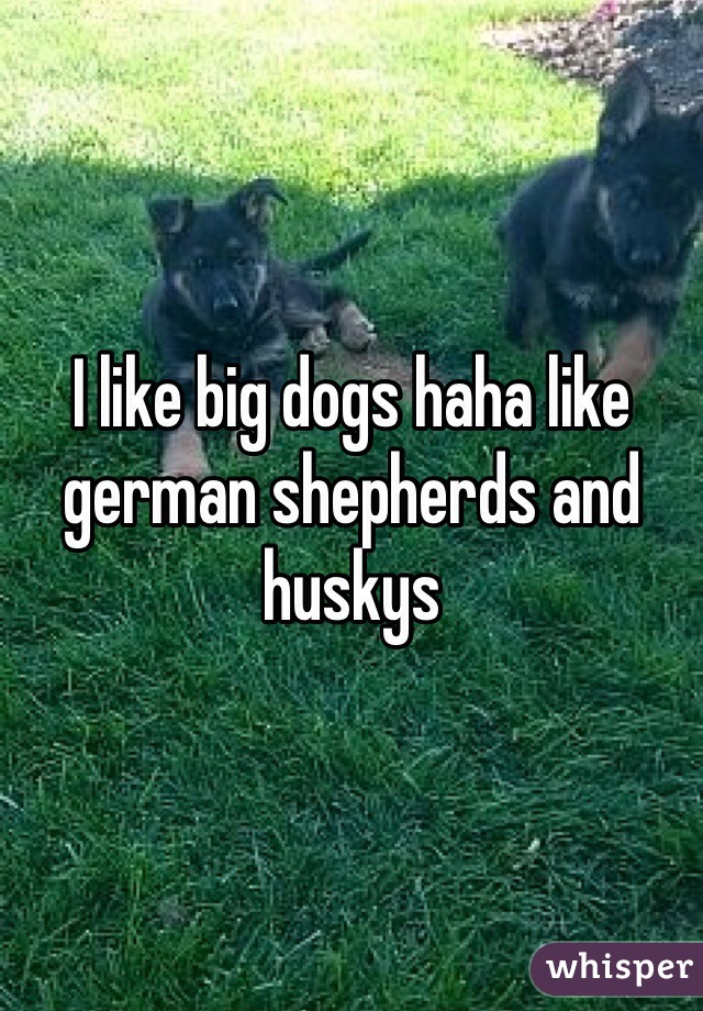 I like big dogs haha like german shepherds and huskys