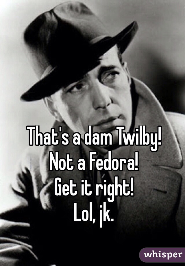 That's a dam Twilby!
Not a Fedora!
Get it right!
Lol, jk.
