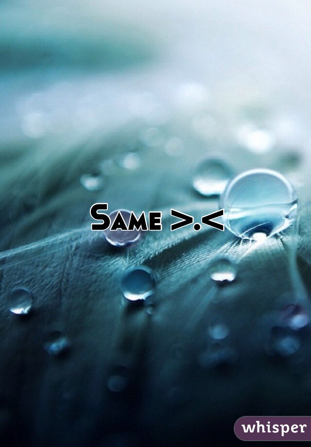 Same >.<