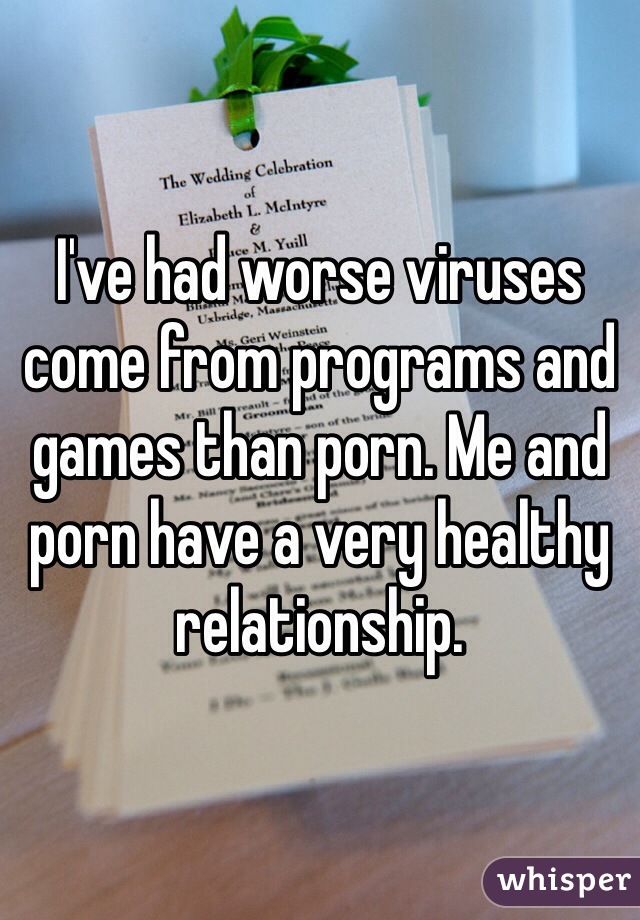 I've had worse viruses come from programs and games than porn. Me and porn have a very healthy relationship.