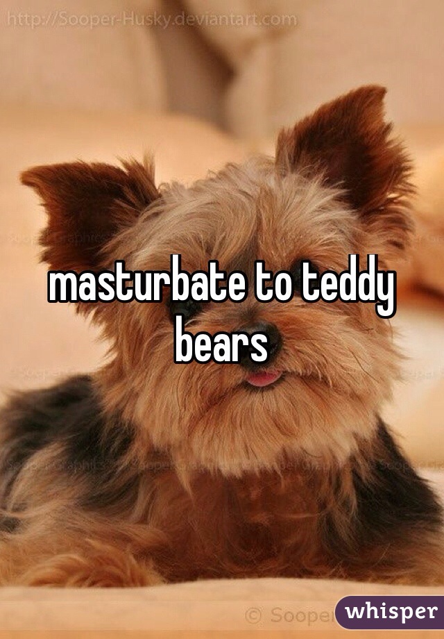 masturbate to teddy bears
