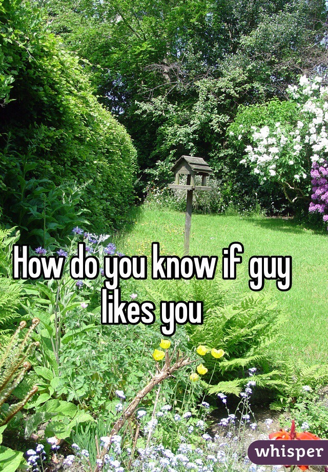 How do you know if guy likes you
