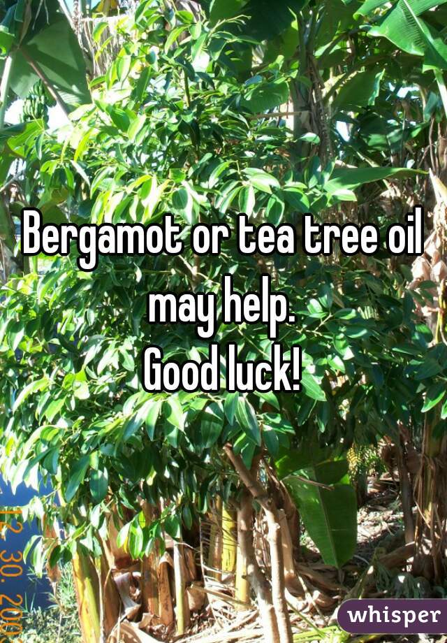 Bergamot or tea tree oil may help. 
Good luck!