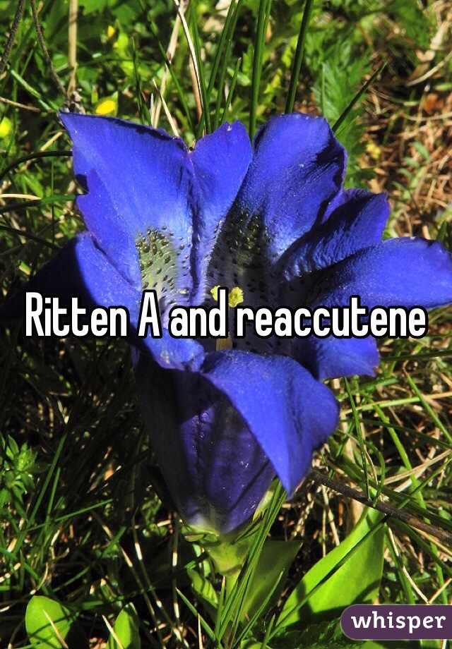 Ritten A and reaccutene