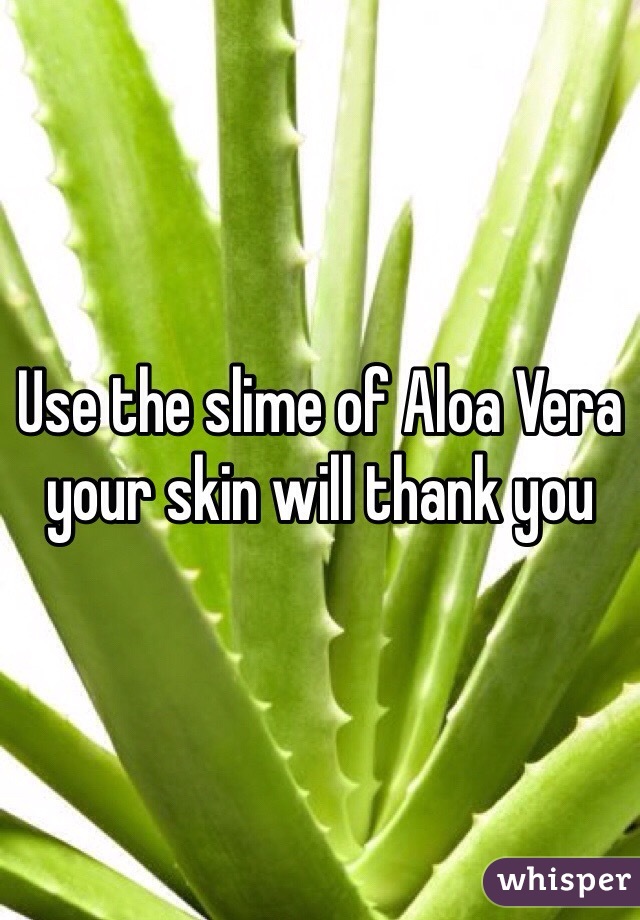 Use the slime of Aloa Vera your skin will thank you 