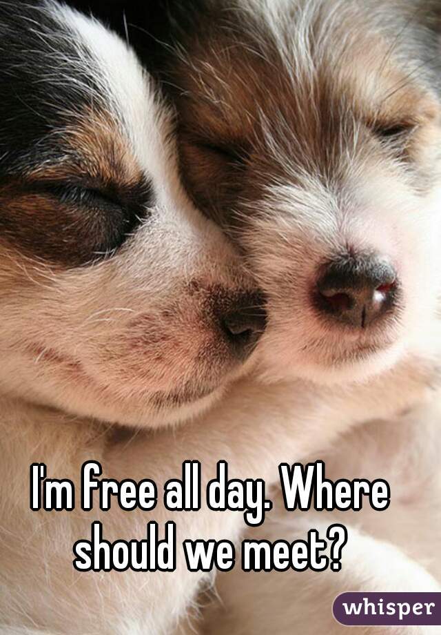 I'm free all day. Where should we meet? 